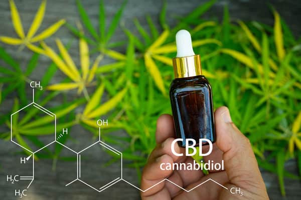 CBD Öl und die vielseitigen positiven Eigenschaften und Anwendungsgebiete